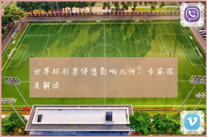 世界杯彩票停售影响几何?专家深度解读