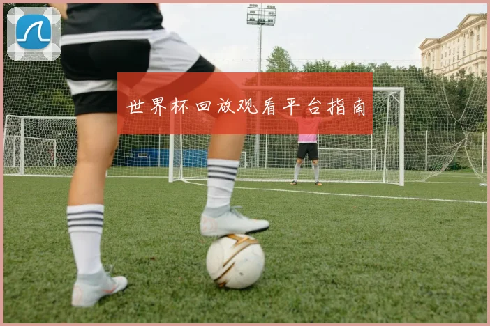 世界杯回放观看平台指南