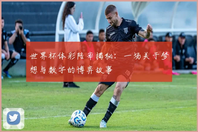 世界杯体彩陪率揭秘：一场关于梦想与数字的博弈故事