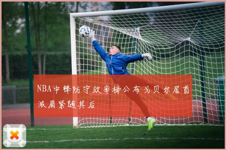 NBA中锋防守效率榜公布戈贝尔居首浓眉紧随其后