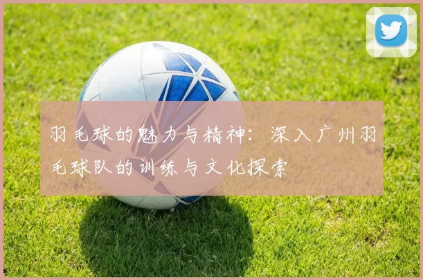 羽毛球的魅力与精神：深入广州羽毛球队的训练与文化探索