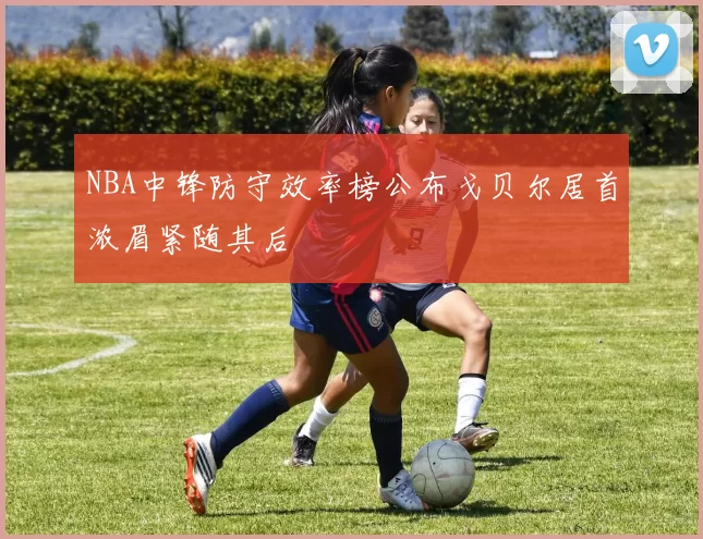 NBA中锋防守效率榜公布戈贝尔居首浓眉紧随其后