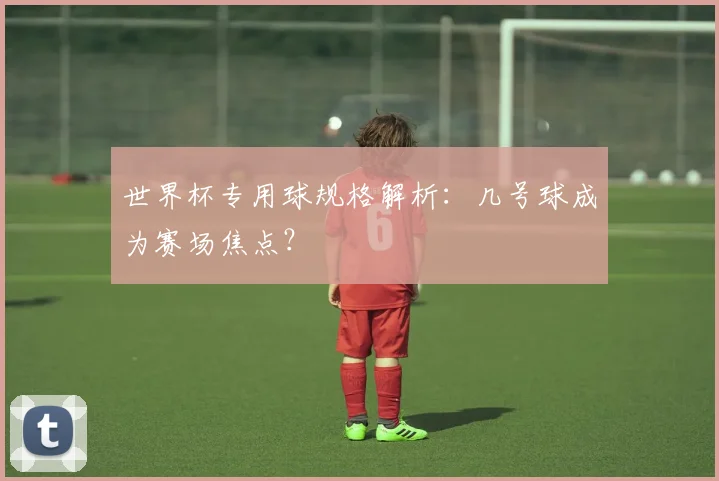 世界杯专用球规格解析:几号球成为赛场焦点?