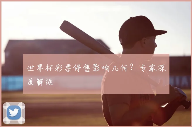 世界杯彩票停售影响几何?专家深度解读
