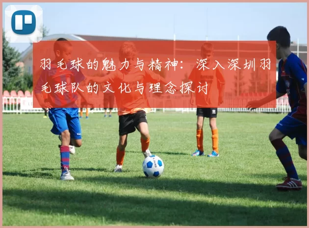 羽毛球的魅力与精神：深入深圳羽毛球队的文化与理念探讨