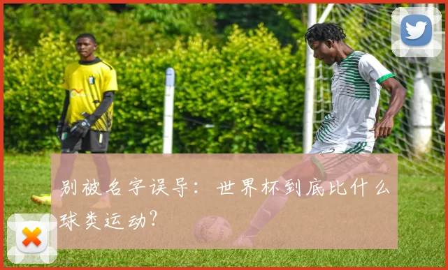 别被名字误导:世界杯到底比什么球类运动?