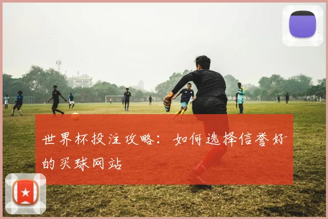 世界杯投注攻略：如何选择信誉好的买球网站