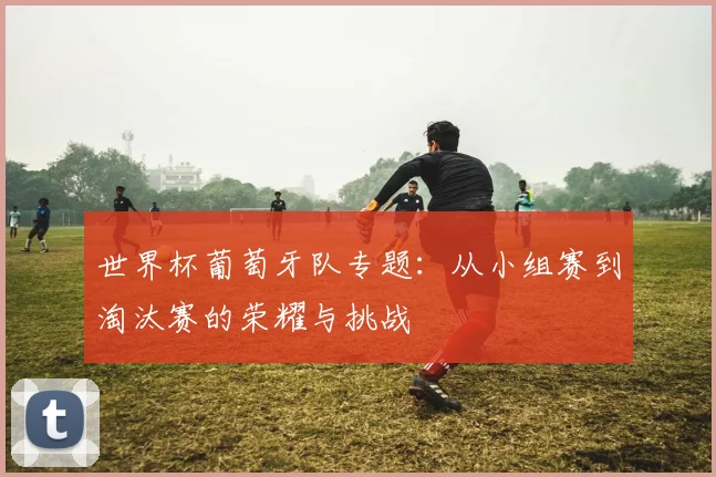 世界杯葡萄牙队专题：从小组赛到淘汰赛的荣耀与挑战