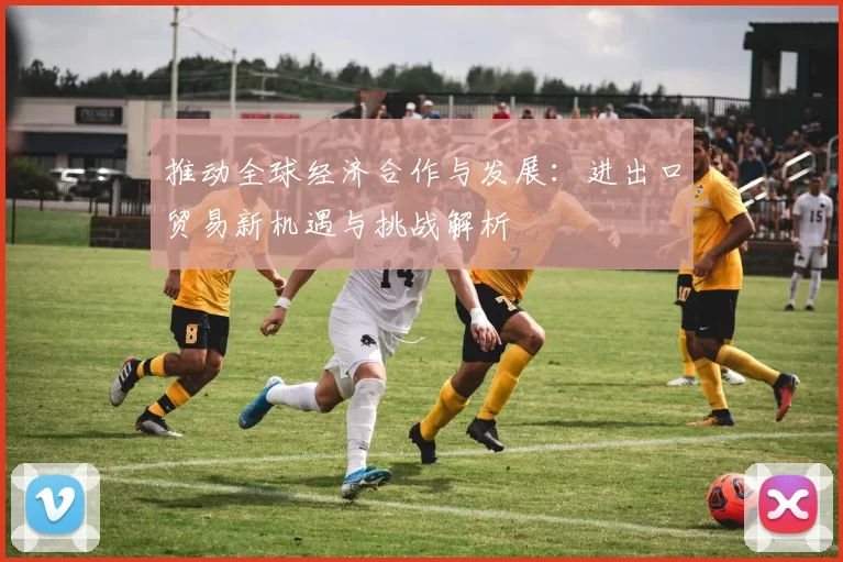 推动全球经济合作与发展：进出口贸易新机遇与挑战解析