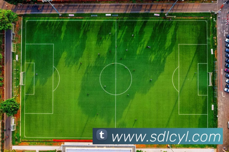 J9集团平台生态图